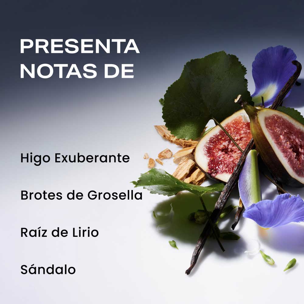 FATHER FIGURE DESODORANTE